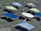 Садовый зонт Classic (36036)
